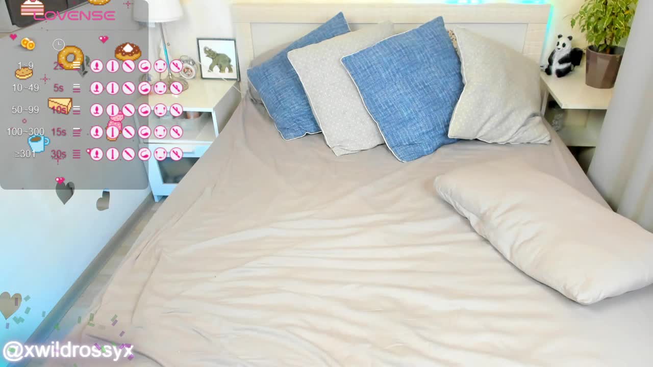 wildrossy Приват Записи 2026-04-20