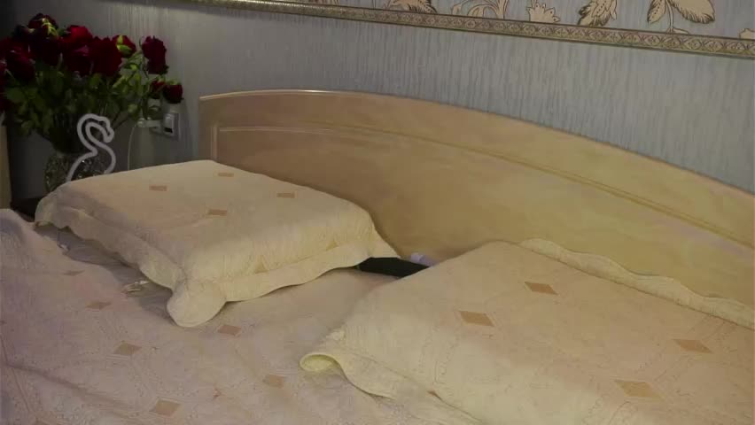 meghanantell Приват Записи 2026-04-20