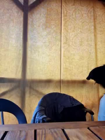 -Pupsiki- Приват Записи 2026-04-22