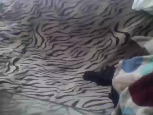 Pisya2354 Приват Записи 2026-04-22