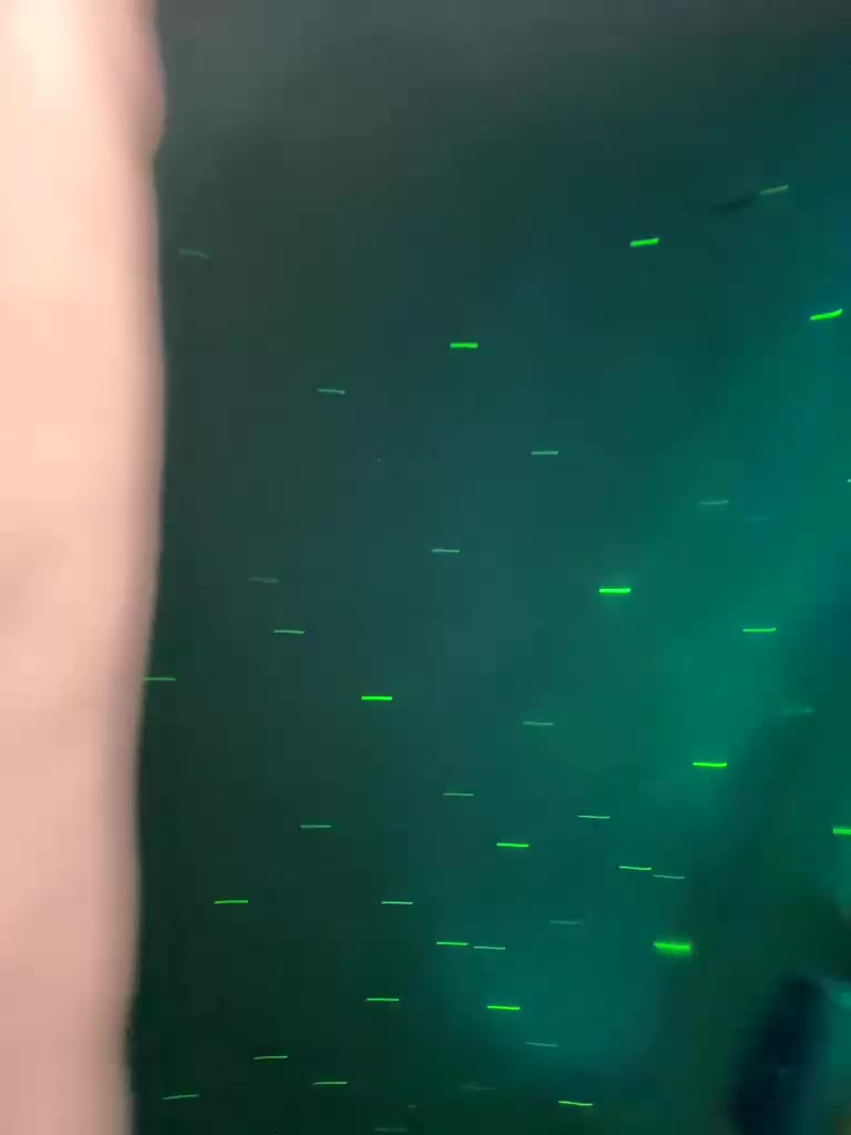 Amelia575-1 Приват Записи 2026-04-23