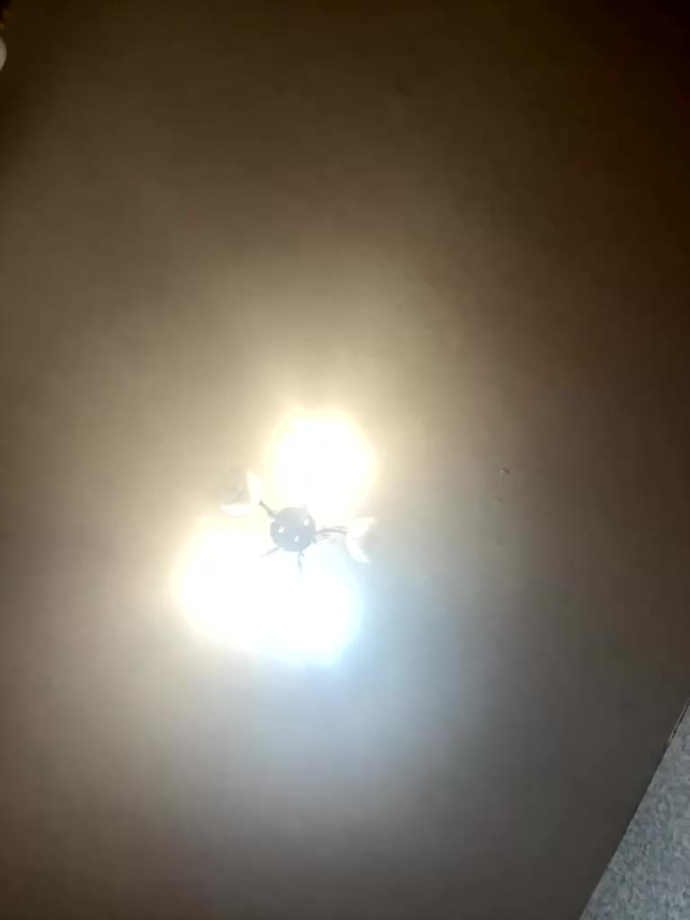 Vika-62 Приват Записи 2026-04-23