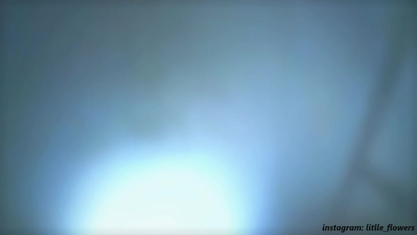 litlle_flowers Приват Записи 2026-04-23