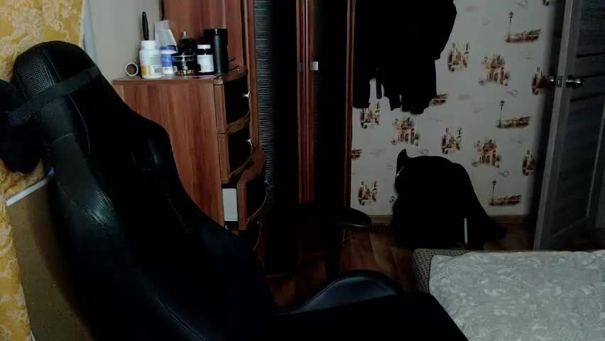 shyredstar Приват Записи 2026-04-24