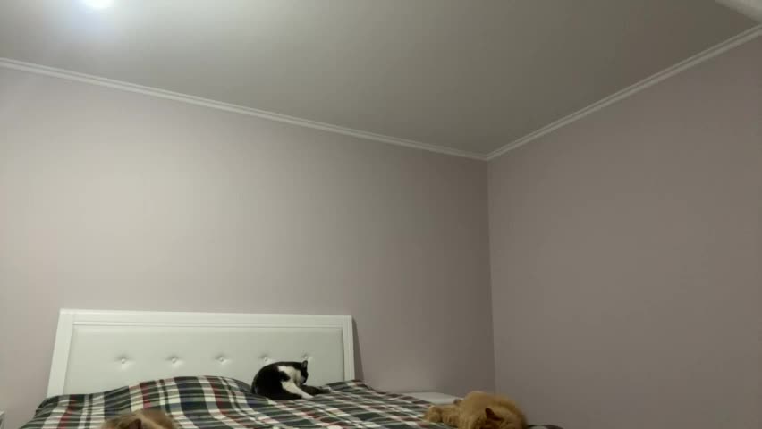 emberfamn Приват Записи 2026-04-24