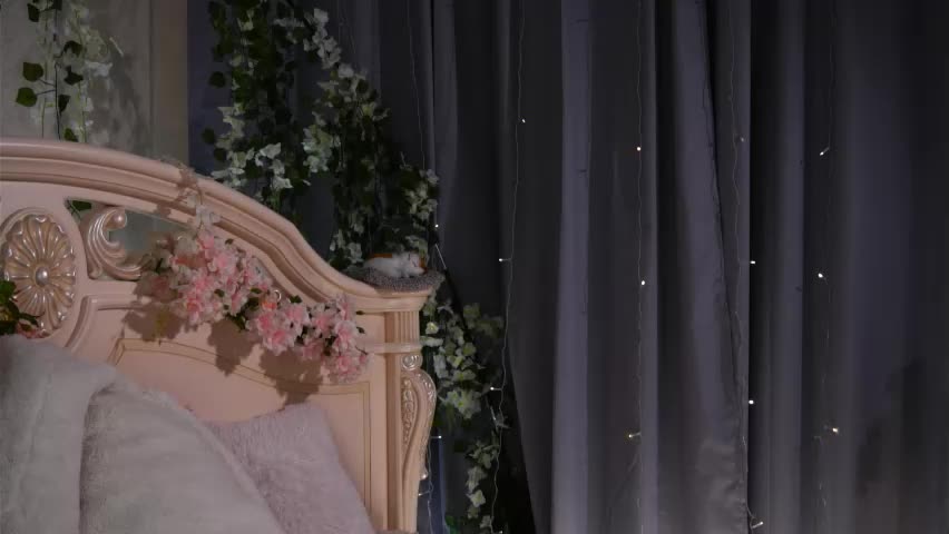 _green_green_ Приват Записи 2026-04-24