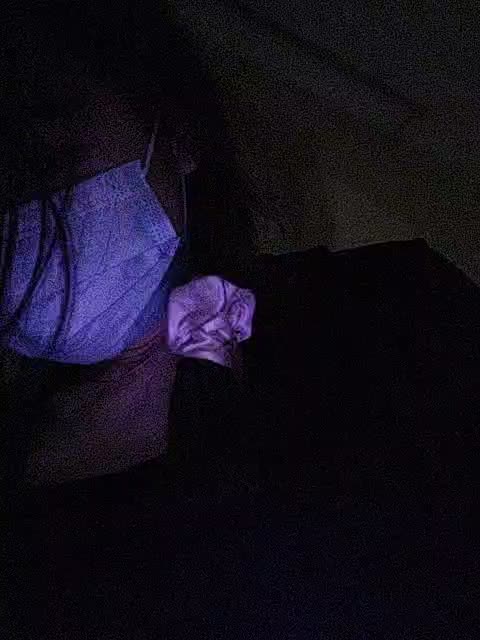 AnalPrincessPippalee Приват Записи 2026-04-26