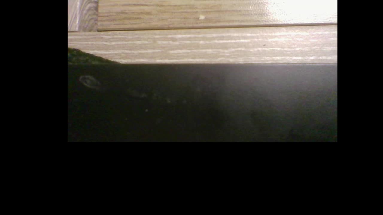 pararam124 Приват Записи 2026-04-26