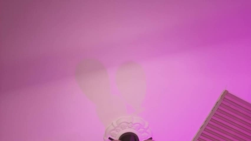 meredith_spencer Приват Записи 2026-04-26