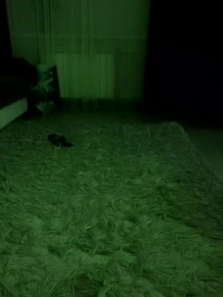 Koshkaxxx Приват Записи 2026-04-27