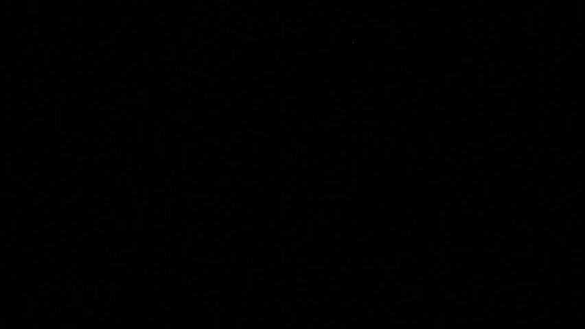 paradi_se Приват Записи 2026-04-28