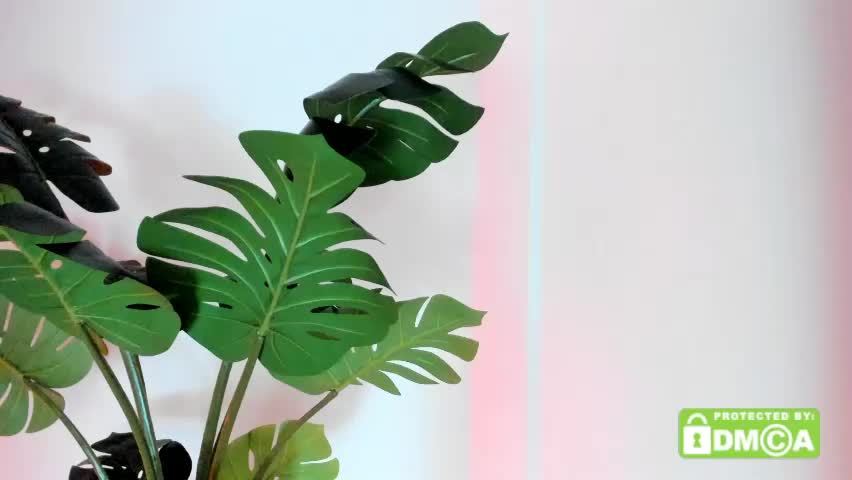 ashllovee_ Приват Записи 2026-04-28