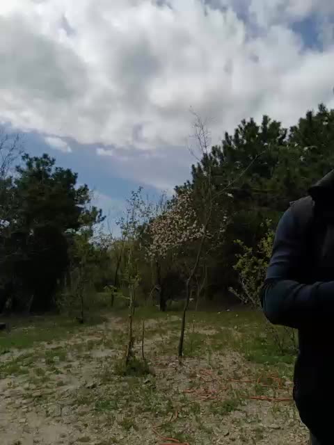 ___Pypsiki___ Приват Записи 2026-04-28