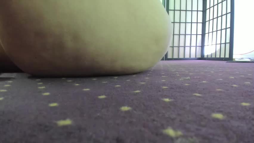 aisharouhi Приват Записи 2026-04-29