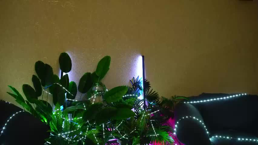 anita_von Приват Записи 2026-05-18