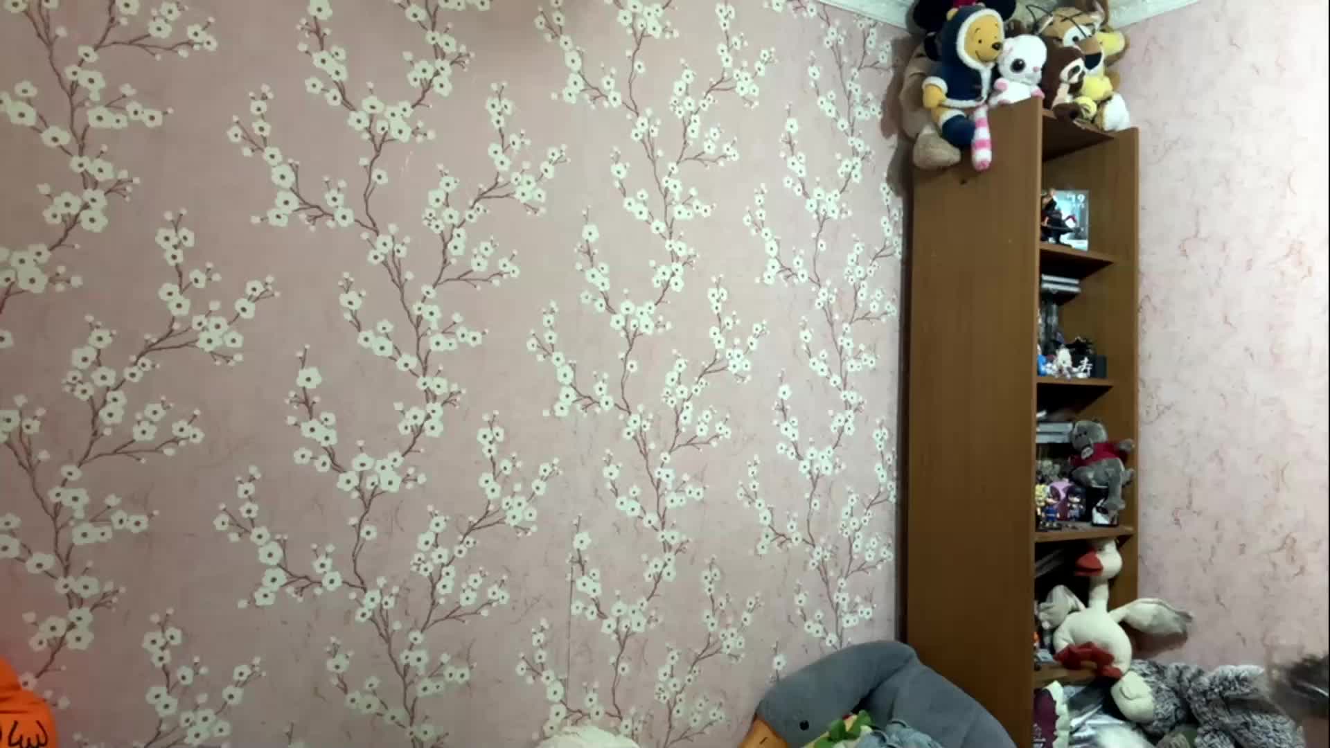 VelvetNightX Приват Записи 2026-05-26