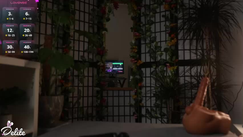 delitevip Приват Записи 2026-05-29
