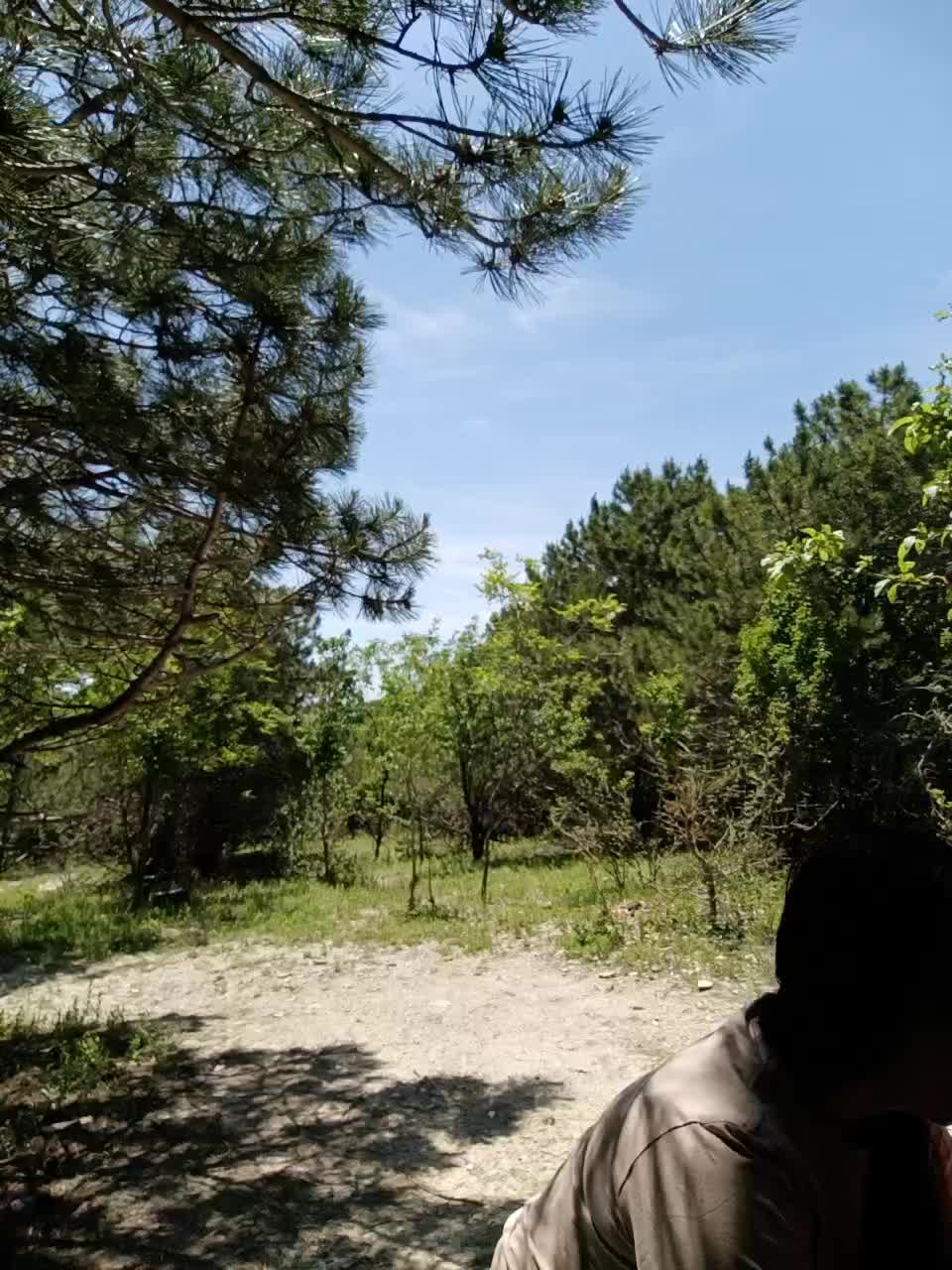 ___Pypsiki___ Приват Записи 2026-06-04