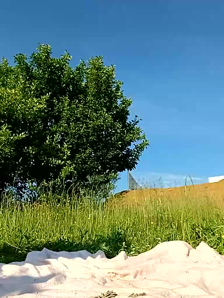 RoxySexy Приват Записи 2026-06-08