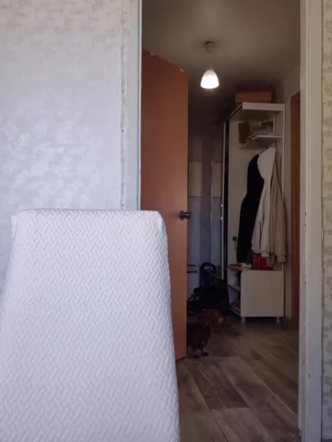 kykyshe4ka Приват Записи 2026-06-08