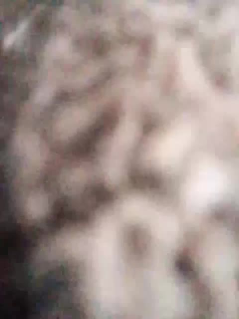 Nika0000 Приват Записи 2026-06-11