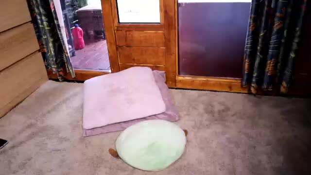 littledante91 Приват Записи 2026-06-14