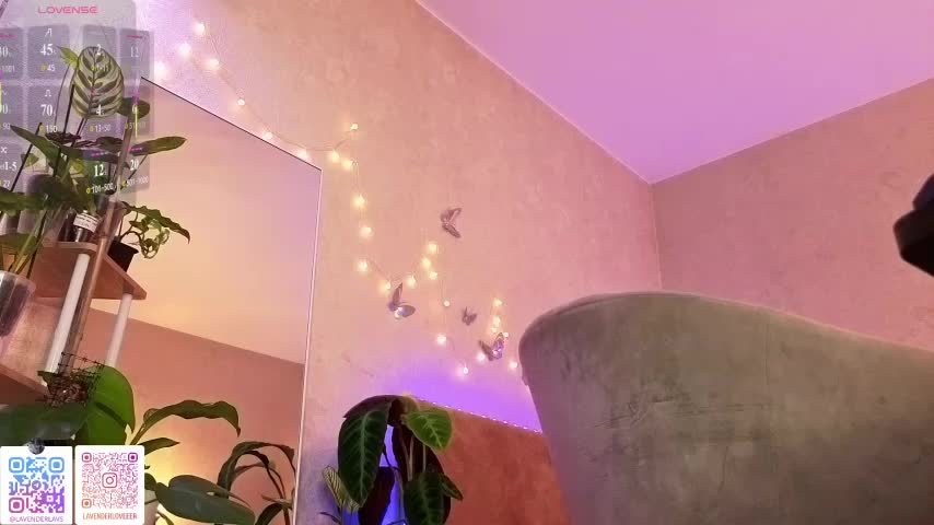lavenderluxe Приват Записи 2026-07-11