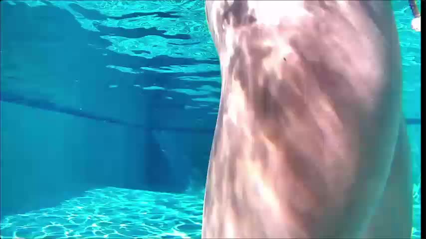 Myliss_ Приват Записи 2026-07-17