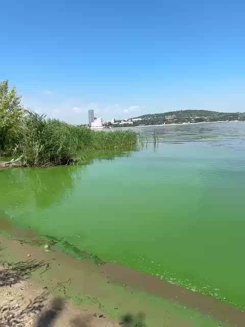 lolave Приват Записи 2026-07-22