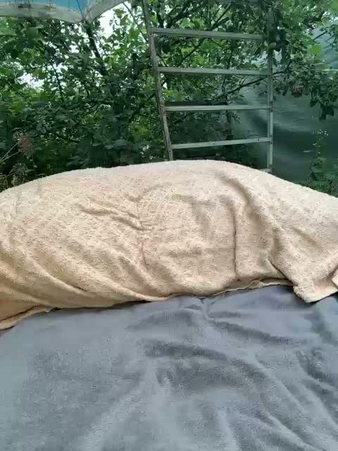 _Veloria_ Приват Записи 2026-07-26