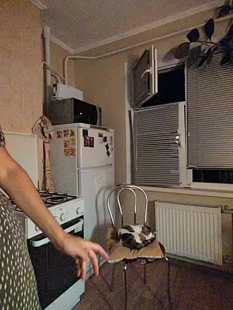 betruetoyourheart Приват Записи 2026-07-28