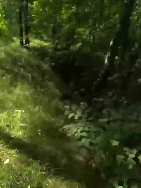 Na-izi Приват Записи 2026-08-01