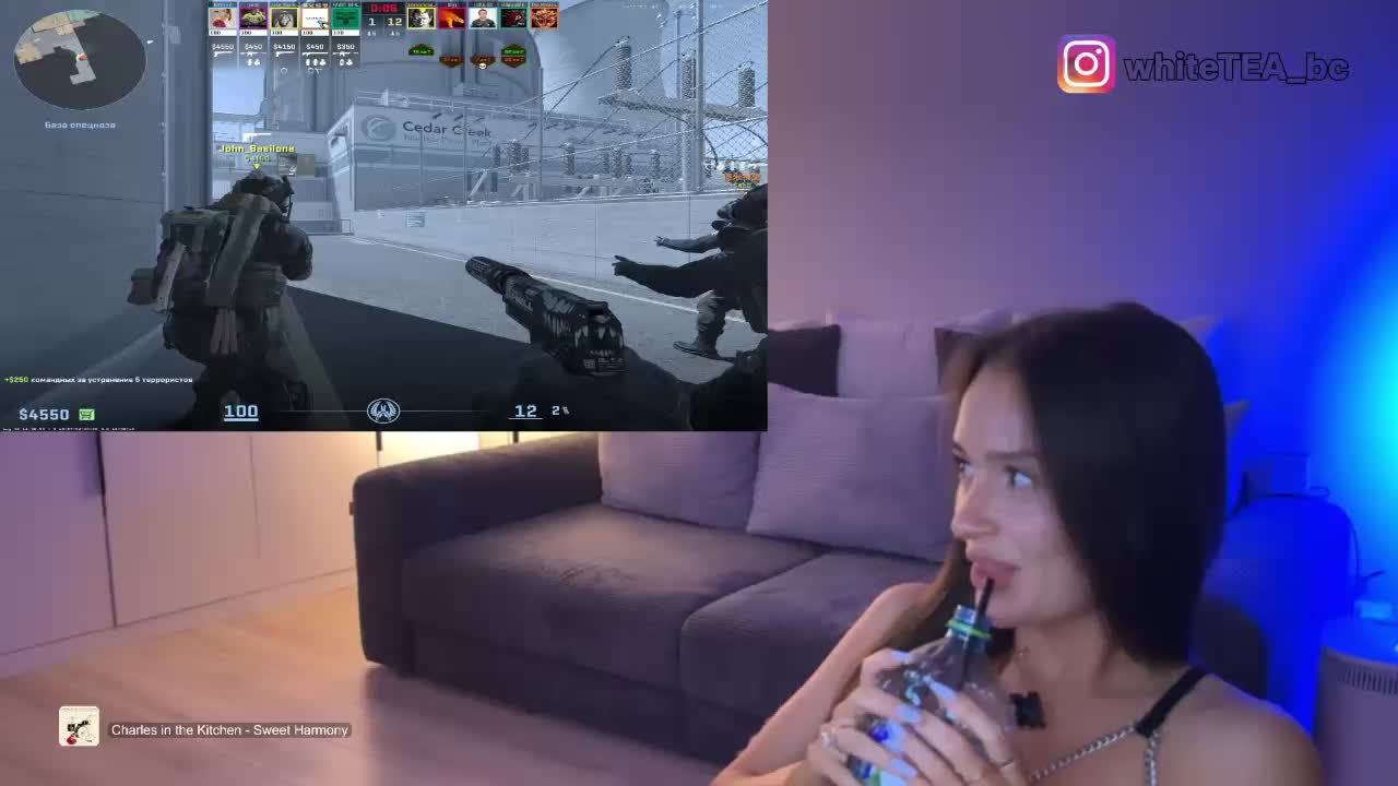 whiteTEA Приват Записи 2026-08-05