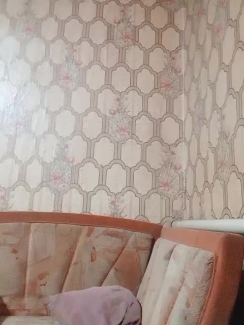 Calibriya Приват Записи 2026-08-11