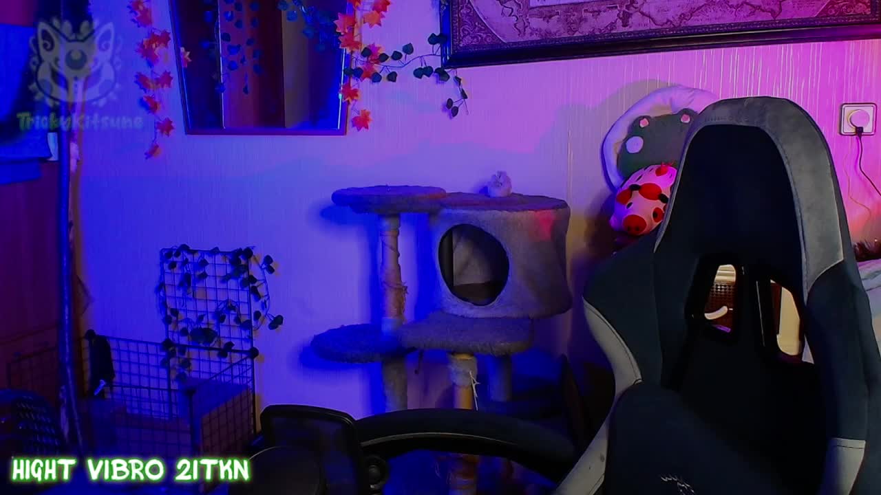Tricky_Kitsune Приват Записи 2026-08-23