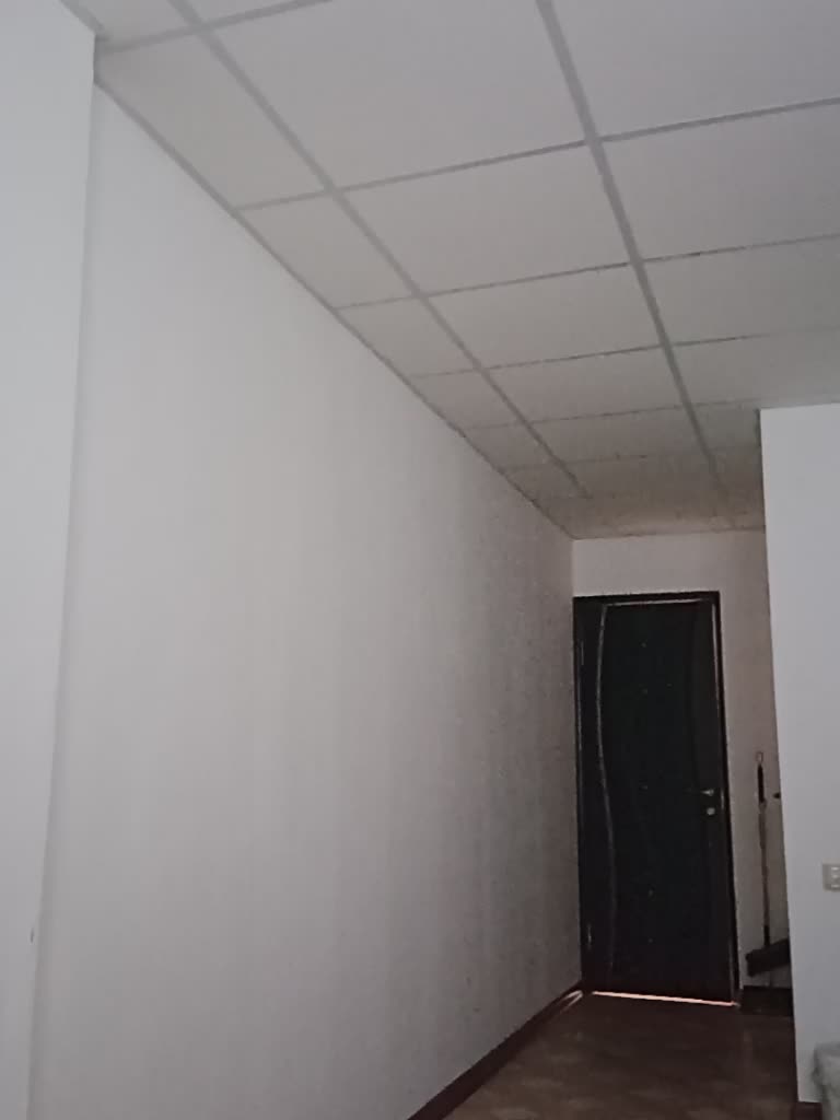EK25 Приват Записи 2026-08-24