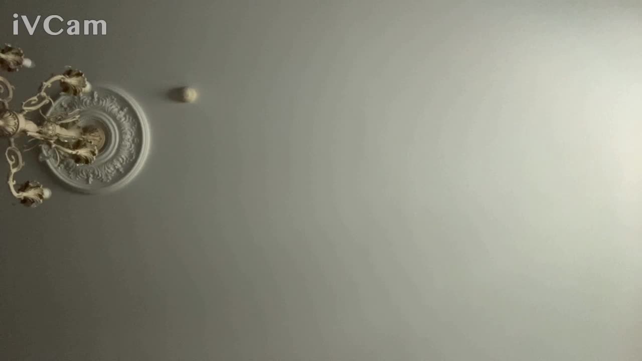kotenokkkk Приват Записи 2026-08-24