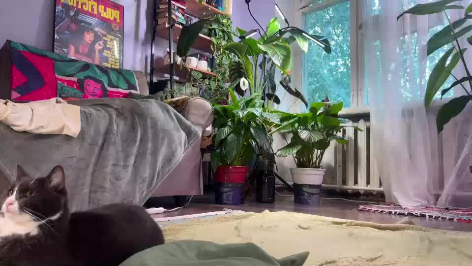 sasha_moormeoow Приват Записи 2026-08-24