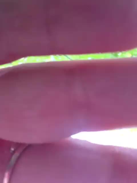 Flirt_Red Приват Записи 2026-08-24