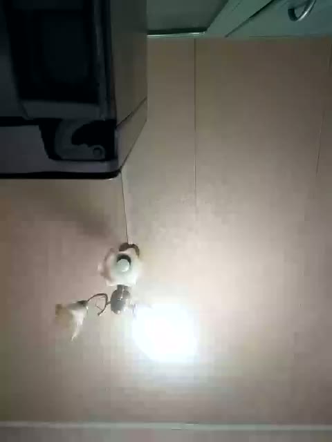 Millie Приват Записи 2026-08-27