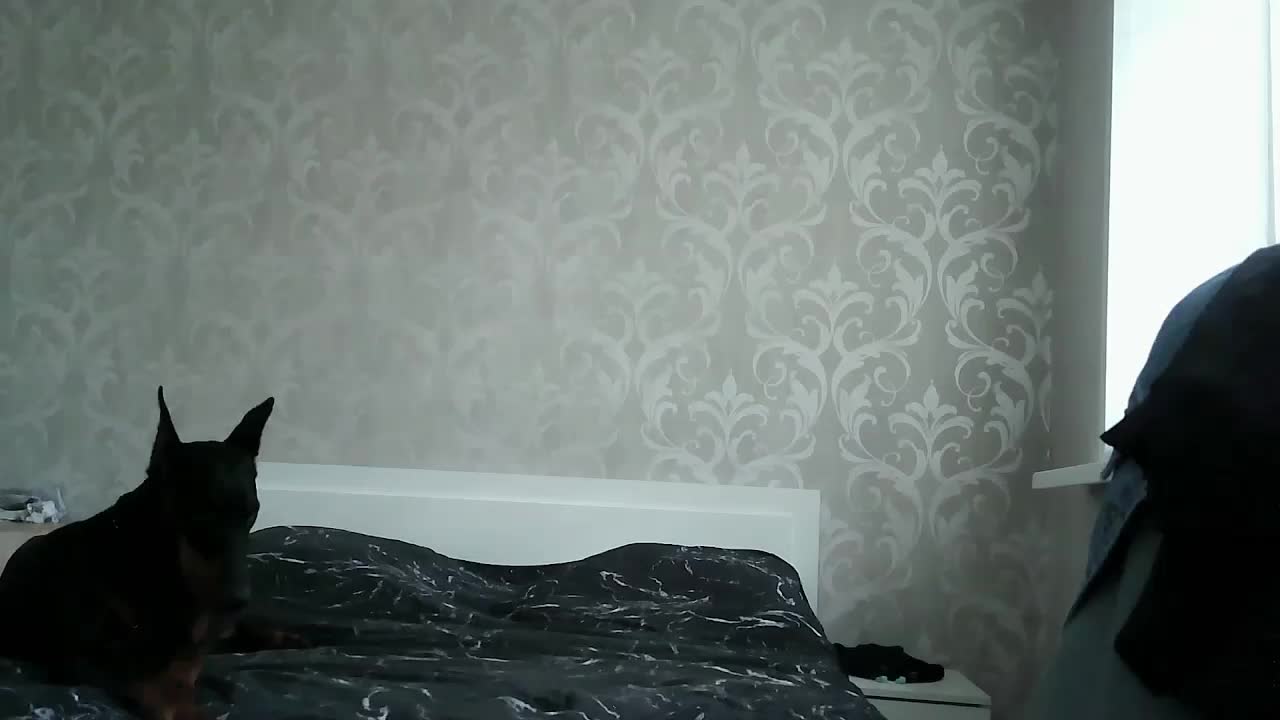 Mabel-Shelly Приват Записи 2026-08-31