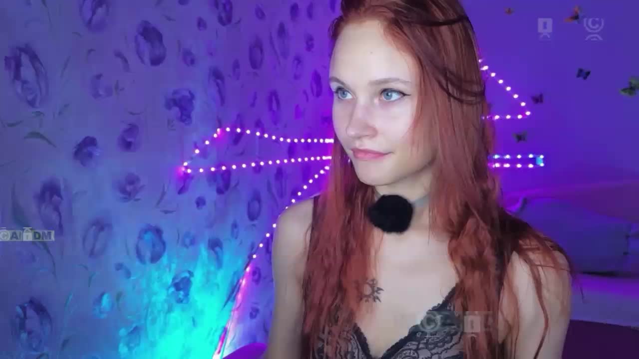 Armura Приват Записи 2026-09-15