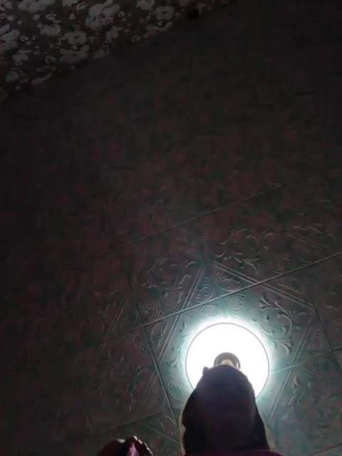 Zarevna Приват Записи 2026-09-25