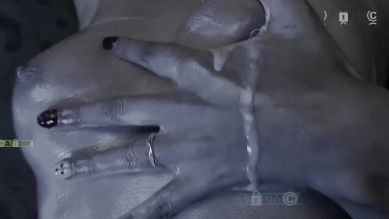Armura Приват Записи 2026-10-02