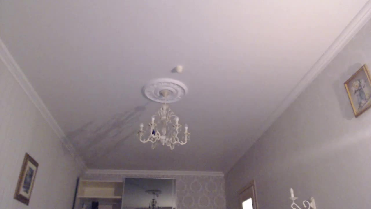 kotenokkkk Приват Записи 2026-10-03