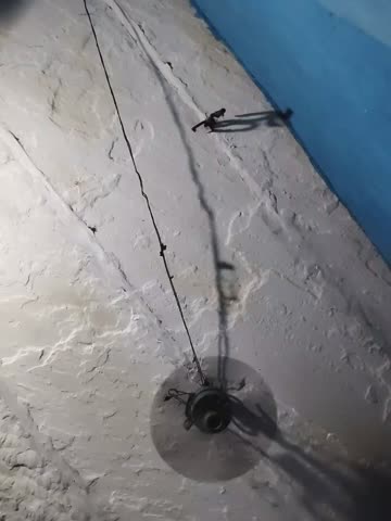 Akanksha_soni Приват Записи 2026-10-14