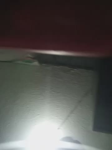 Zoe_aylor Приват Записи 2026-10-18