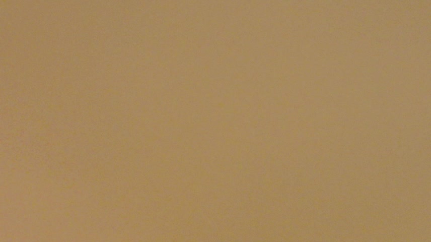 x_DONNA_x Приват Записи 2026-10-18