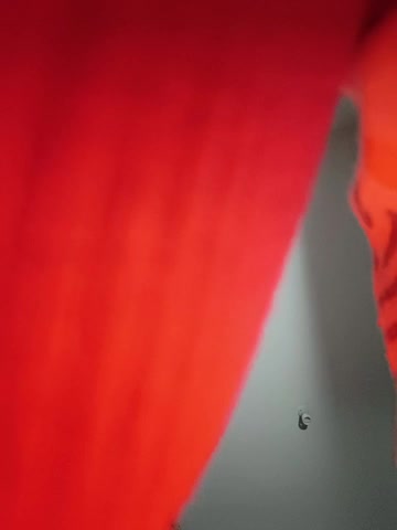 Letslivewildimagination Приват Записи 2026-10-22
