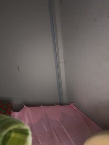 Sunny_lotus Приват Записи 2026-10-22